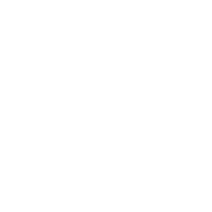 web interface icon